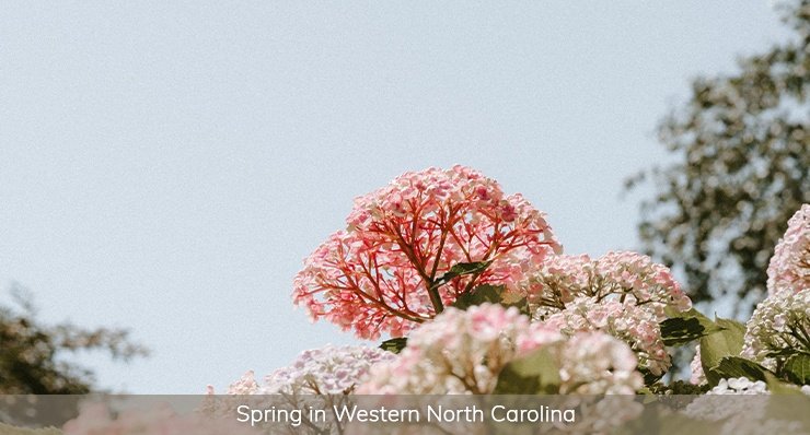 spring in western north carolina landmark realty group best place live experience all four seasons